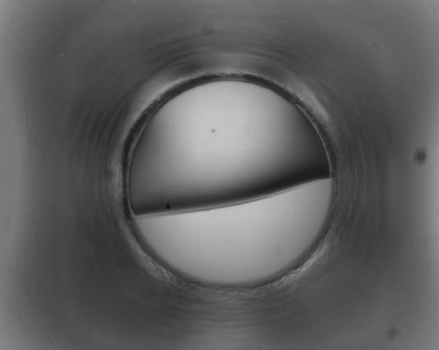 X0000102220934200807250743