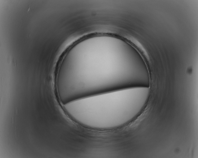 X0000102220935200807250743