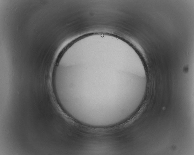 X0000102220936200807250743