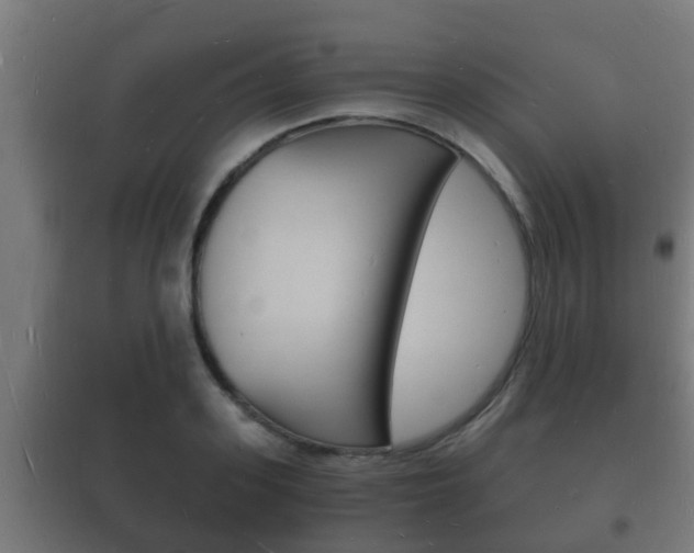 X0000102220939200807250743
