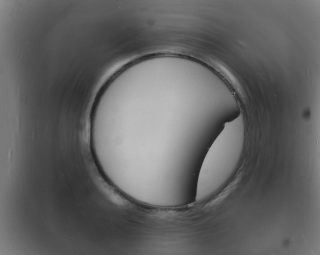X0000102220940200807250743