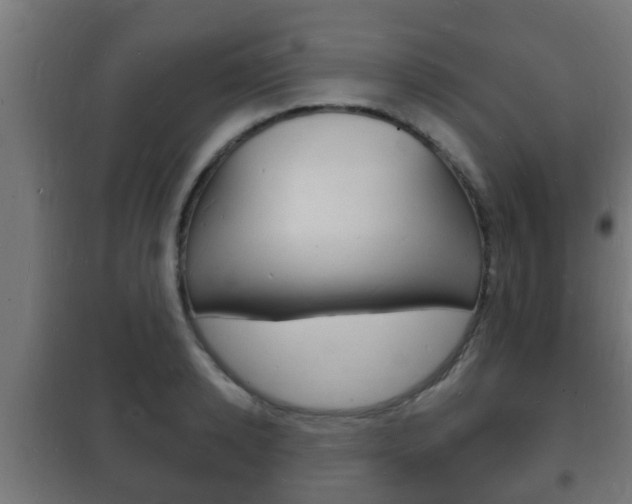 X0000102220942200807250743