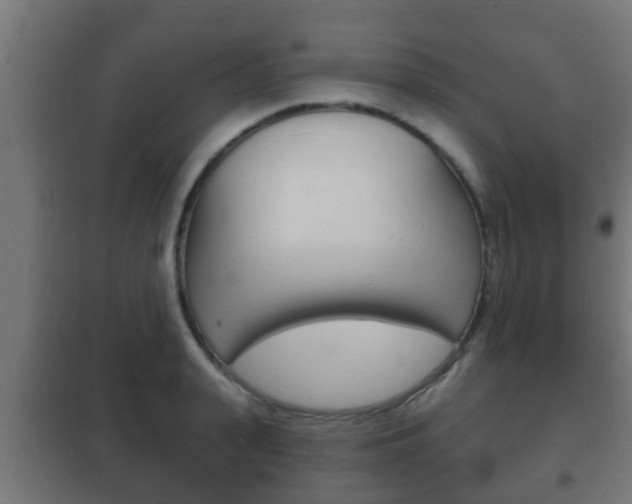 X0000102220943200807250743