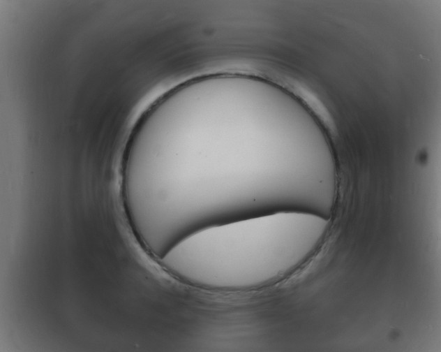 X0000102220944200807250743
