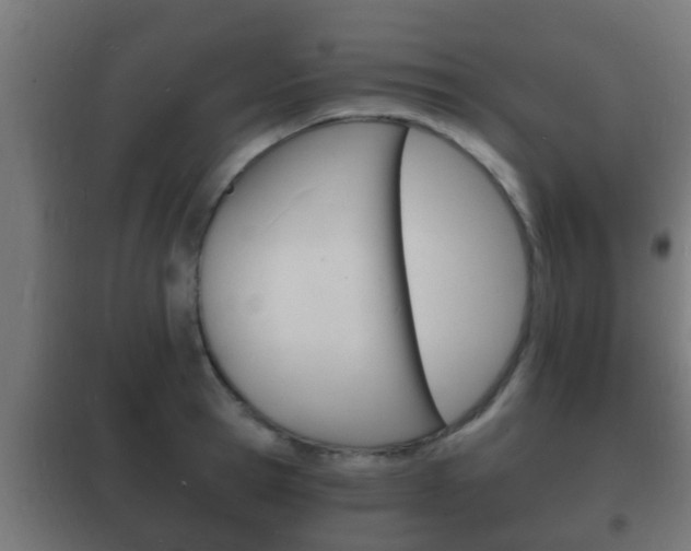X0000102220945200807250743