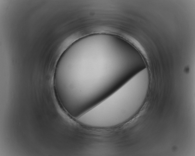 X0000102220946200807250743