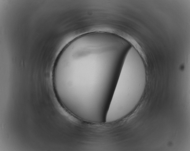 X0000102220947200807250743