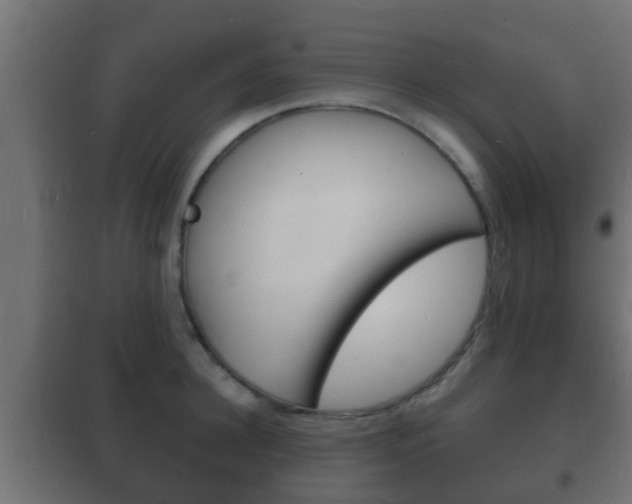 X0000102220948200807250743