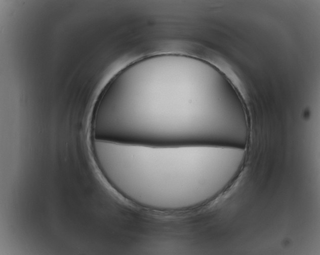 X0000102220949200807250743
