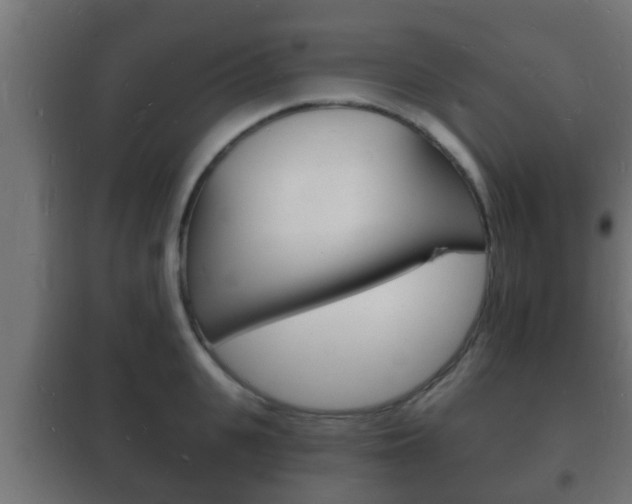 X0000102220951200807250743