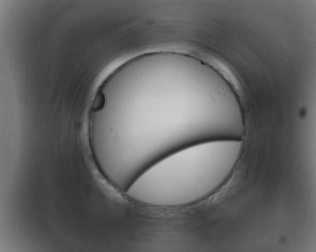 X0000102220952200807250743