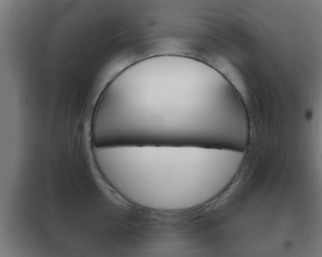 X0000102220954200807250743