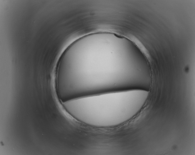 X0000102220955200807250743
