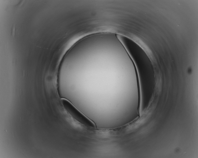 X0000102220956200807250743