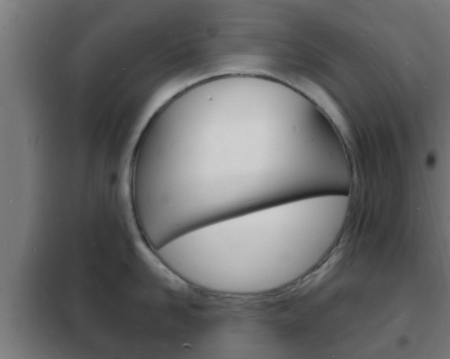 X0000102220958200807250743