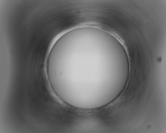 X0000102220960200807250743