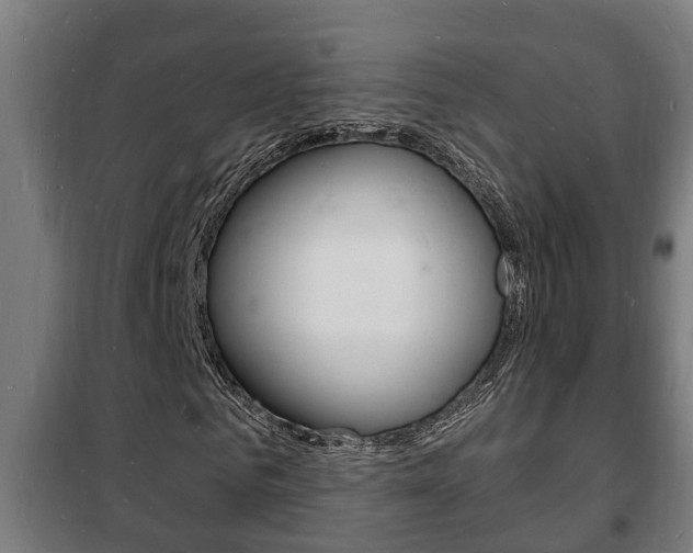 X0000102220961200807250742
