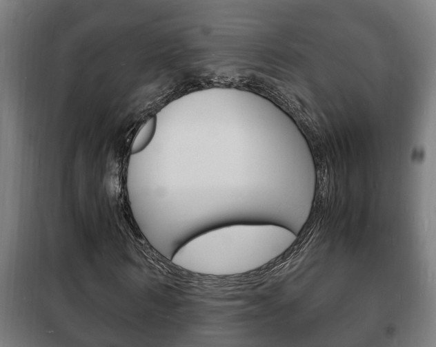 X0000102220962200807250742