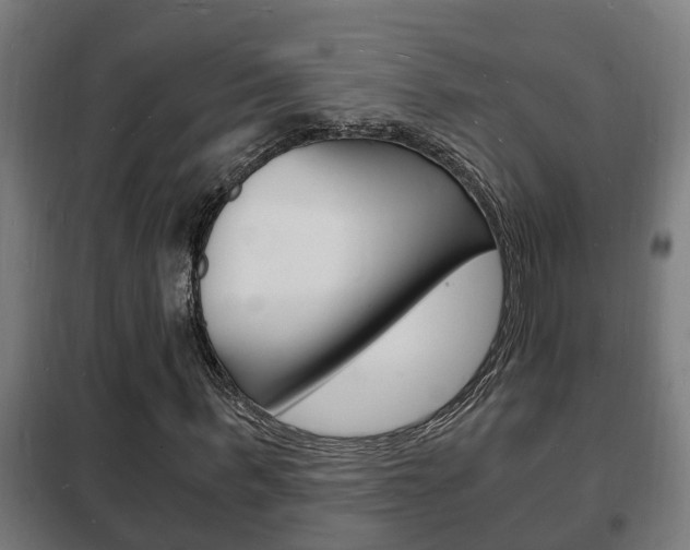 X0000102220963200807250742