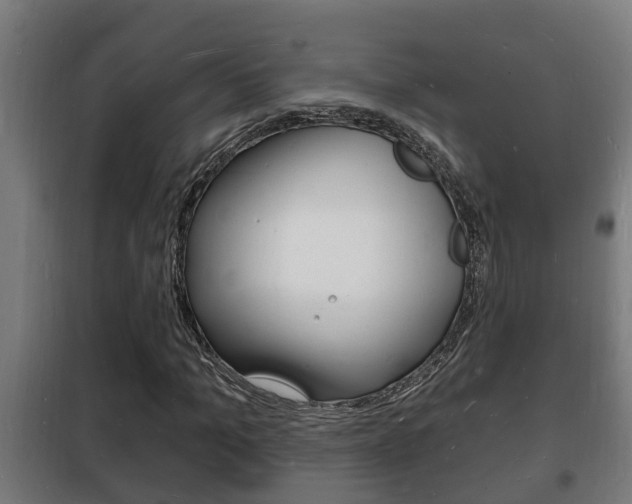 X0000102220965200807250742