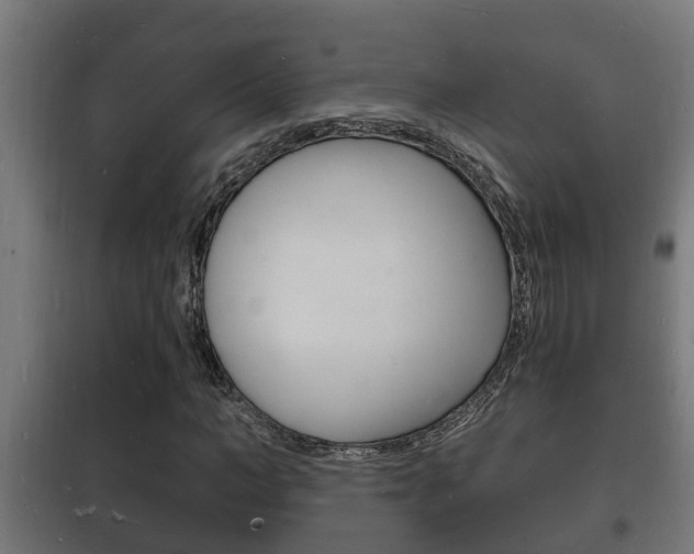 X0000102220966200807250742
