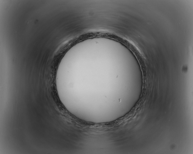 X0000102220967200807250742