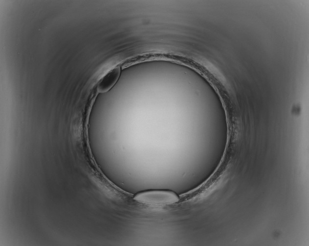X0000102220969200807250742