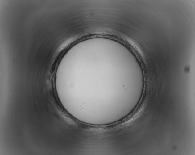 X0000102220970200807250742