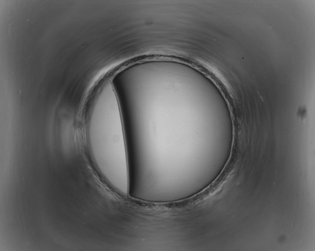 X0000102220971200807250742