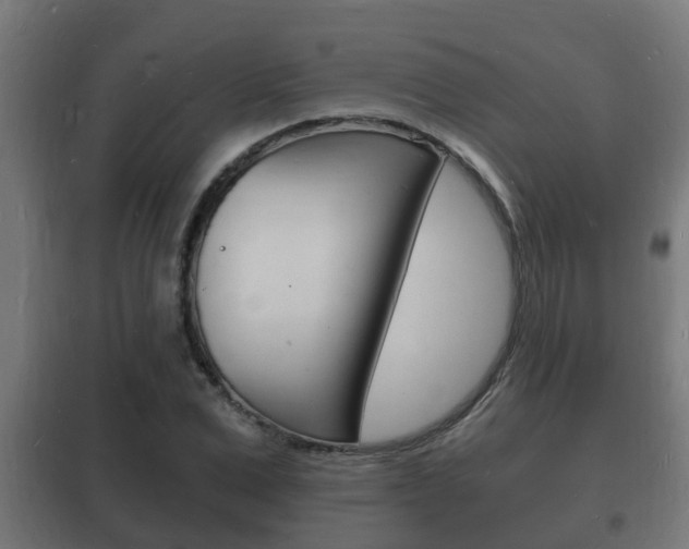 X0000102220975200807250742