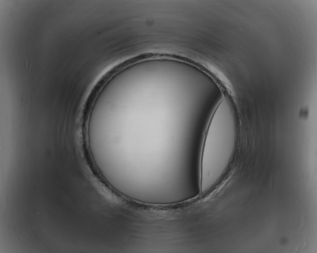 X0000102220976200807250742