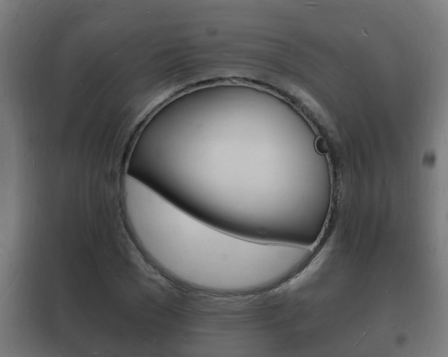 X0000102220977200807250742