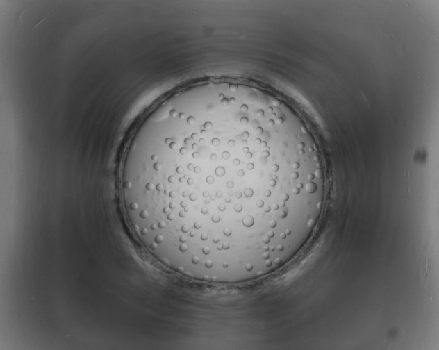 X0000102220978200807250742