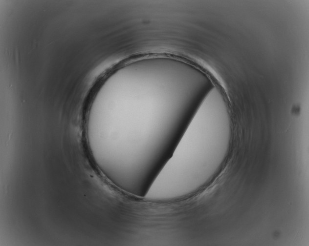 X0000102220979200807250742