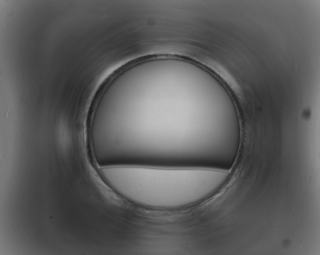 X0000102220980200807250742