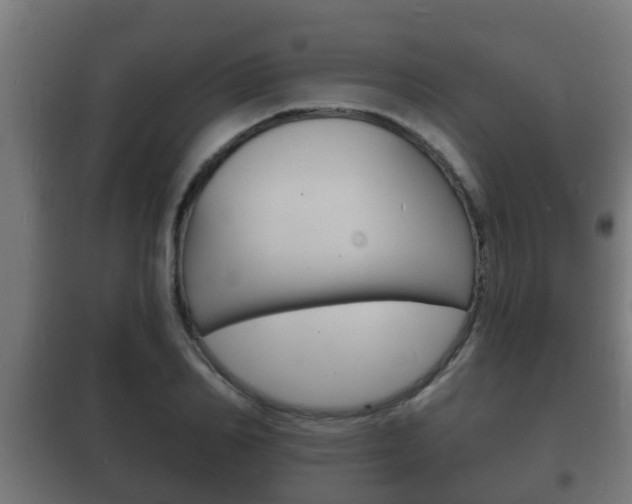 X0000102220982200807250742