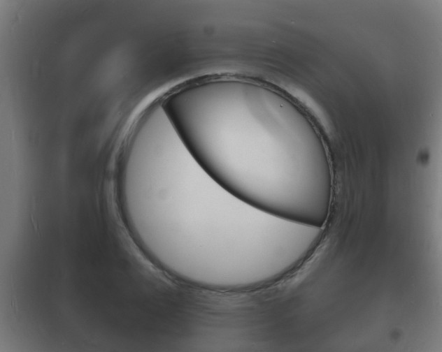 X0000102220983200807250742