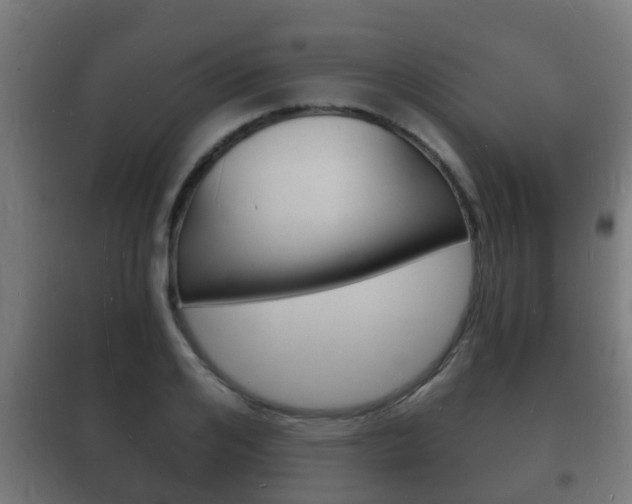 X0000102220984200807250742