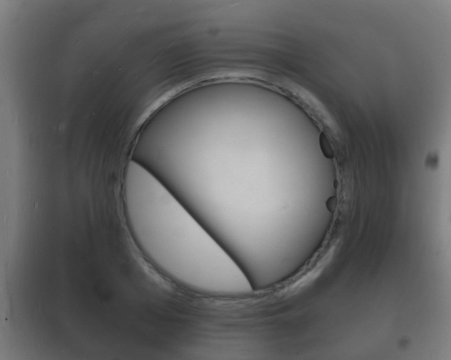 X0000102220985200807250742