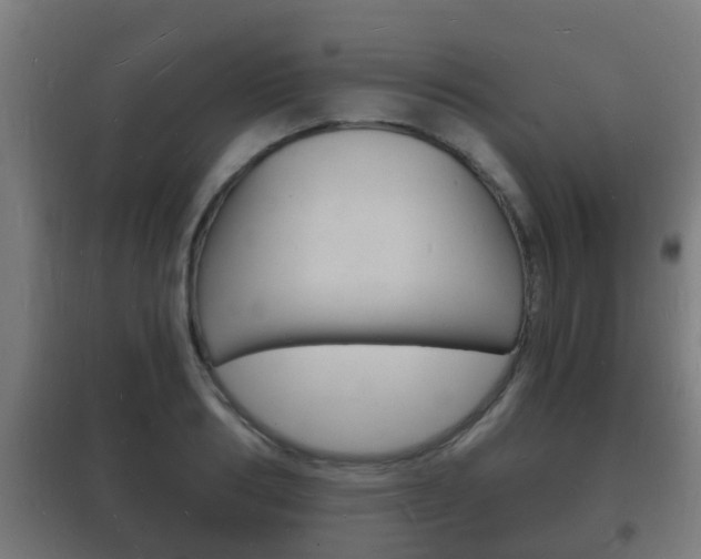 X0000102220986200807250742