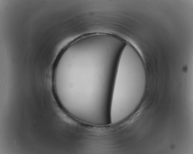 X0000102220987200807250742
