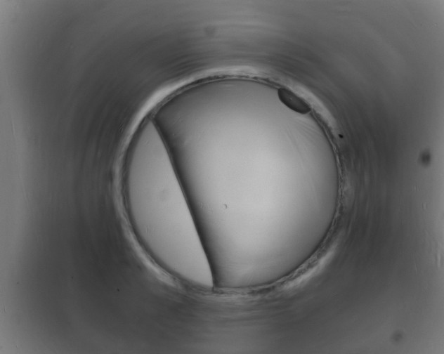 X0000102220989200807250742