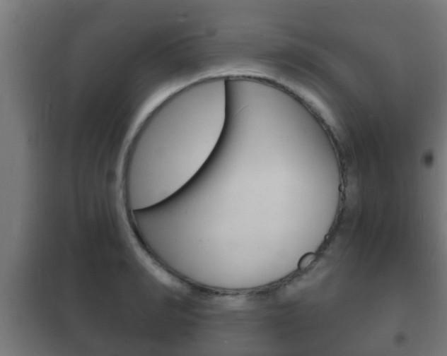 X0000102220990200807250742