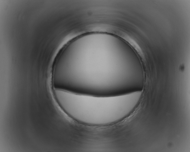 X0000102220992200807250742