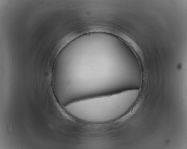 X0000102220993200807250742