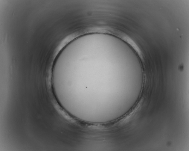 X0000102220994200807250742