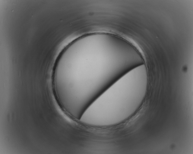 X0000102220995200807250742