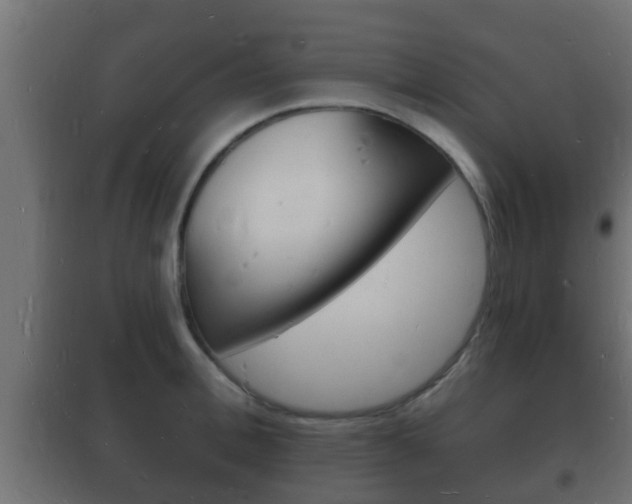 X0000102220996200807250742