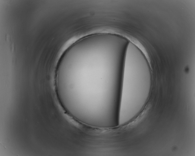 X0000102220997200807250742