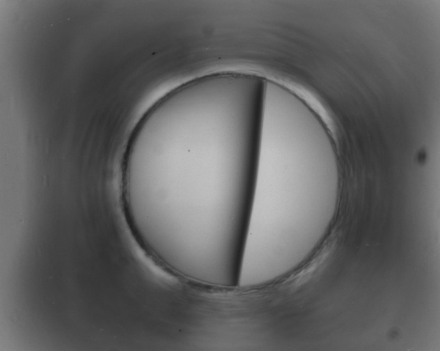 X0000102220999200807250742